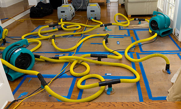 Professional Burst Pipe Water Damage technician working in Portland, TX